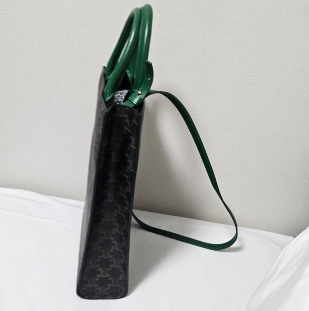 Céline Vertical Cabas Brown X Green - Image 2